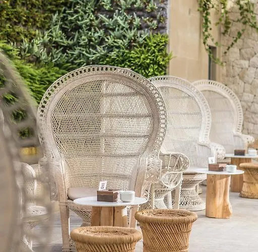 Ξενοδοχείο Cap Negret